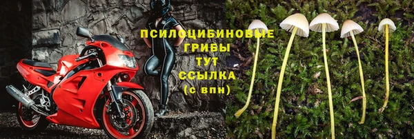 ешки Осинники