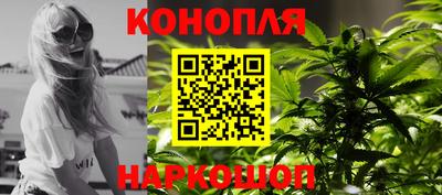 шишки Донской