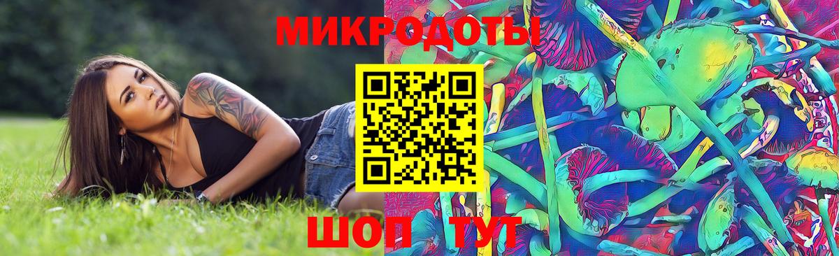Галлюциногенные грибы Cubensis  Вход с VPN  Павлово 